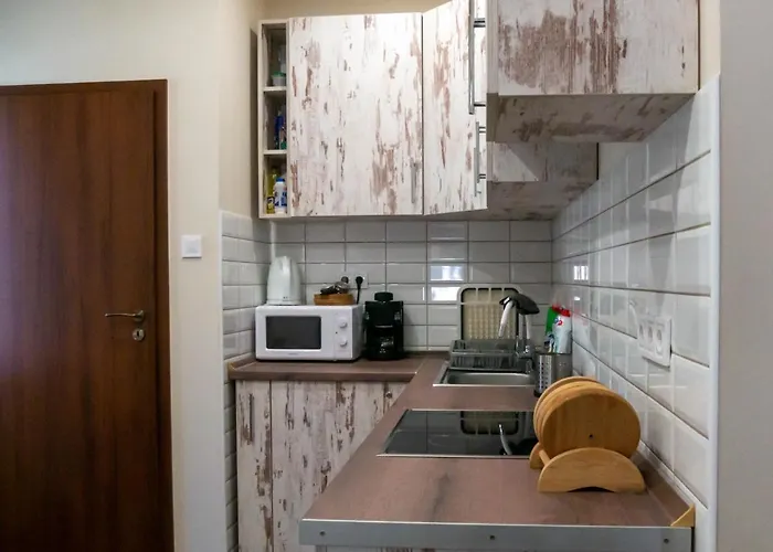 Janossza-voelgy Vendeghaz 公寓 *