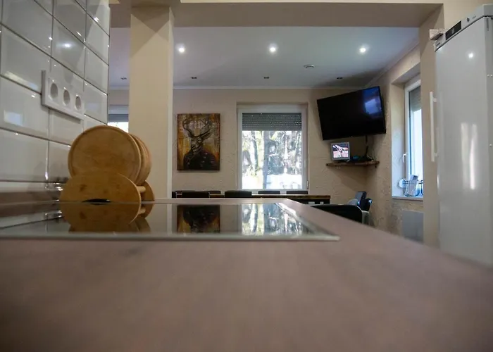 Janossza-voelgy Vendeghaz 公寓 *