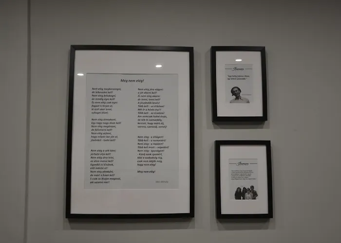 公寓 Janossza-voelgy Vendeghaz Ozd